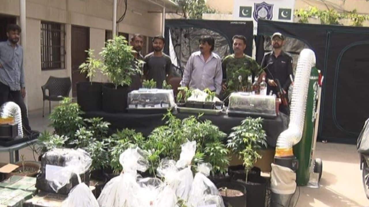 Man arrested for growing marijuana at home in DHA