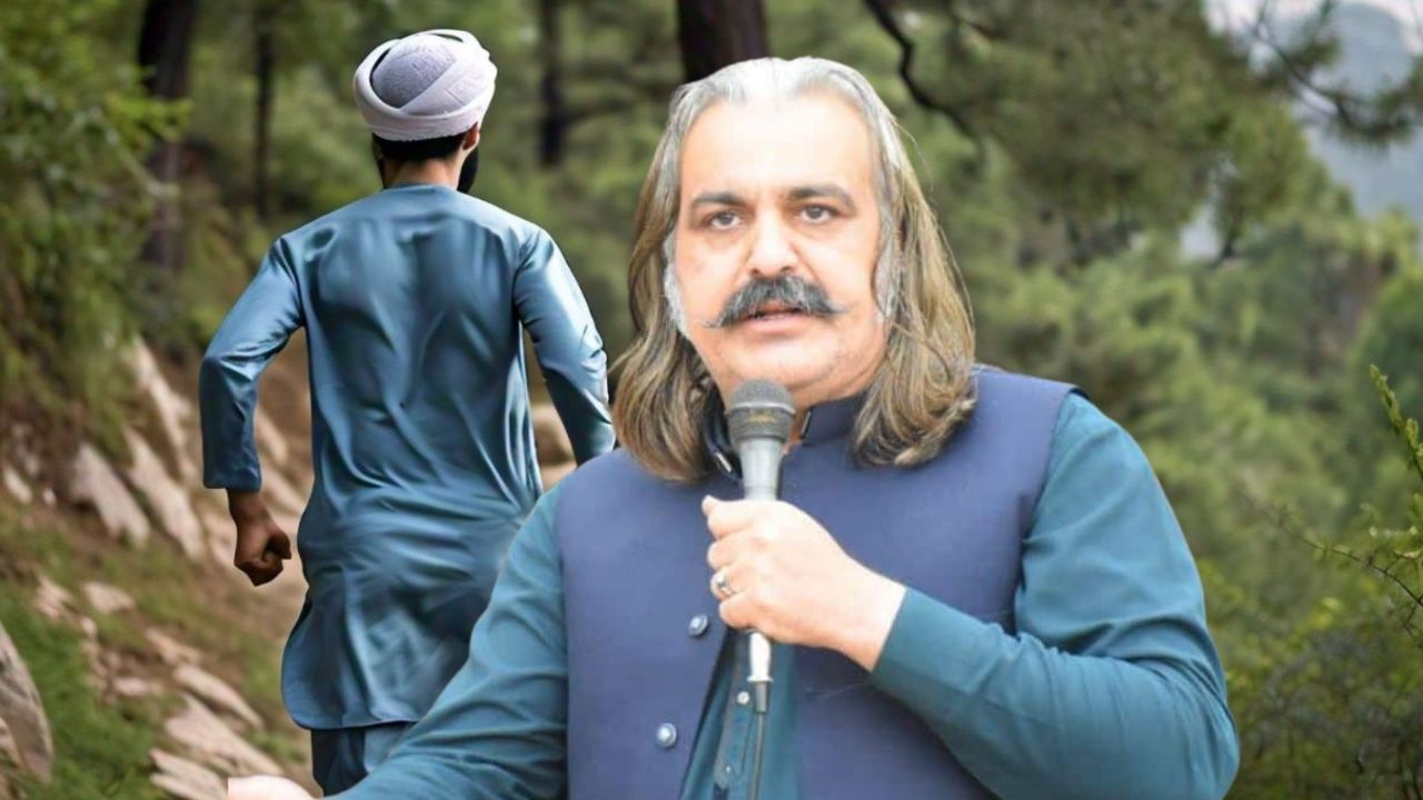 PTI supporters are furious at Ali Amin Gandapur